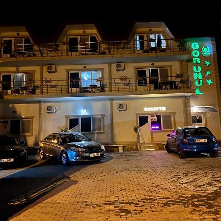 Hotel Gorunul Hunedoara Exterior foto